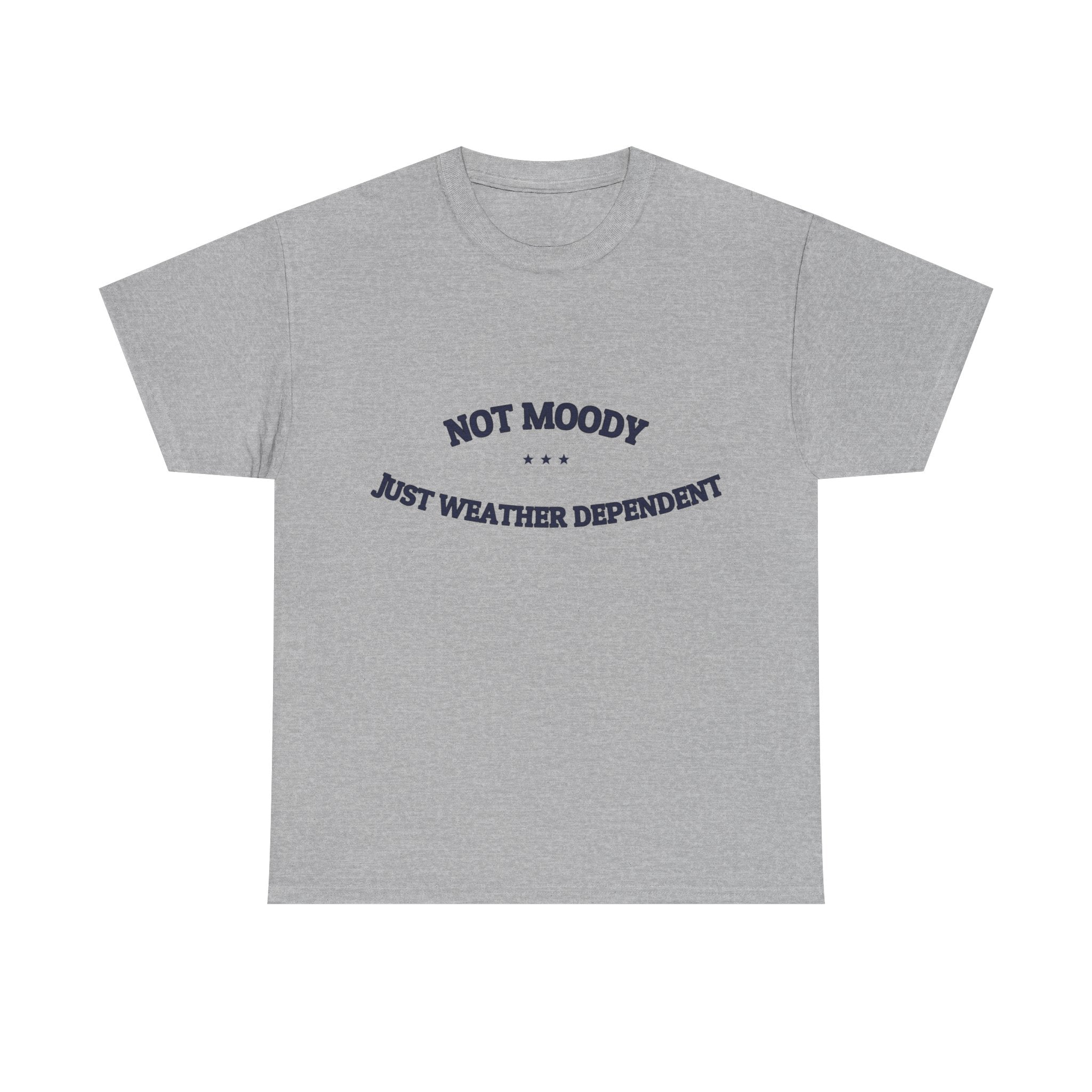 Not Moody. Just Weather Dependent. — Funny Tee | NullMade