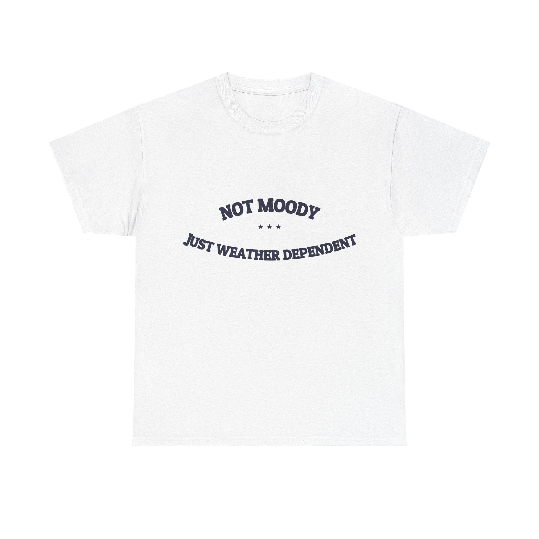 Not Moody. Just Weather Dependent. — Funny Tee | NullMade