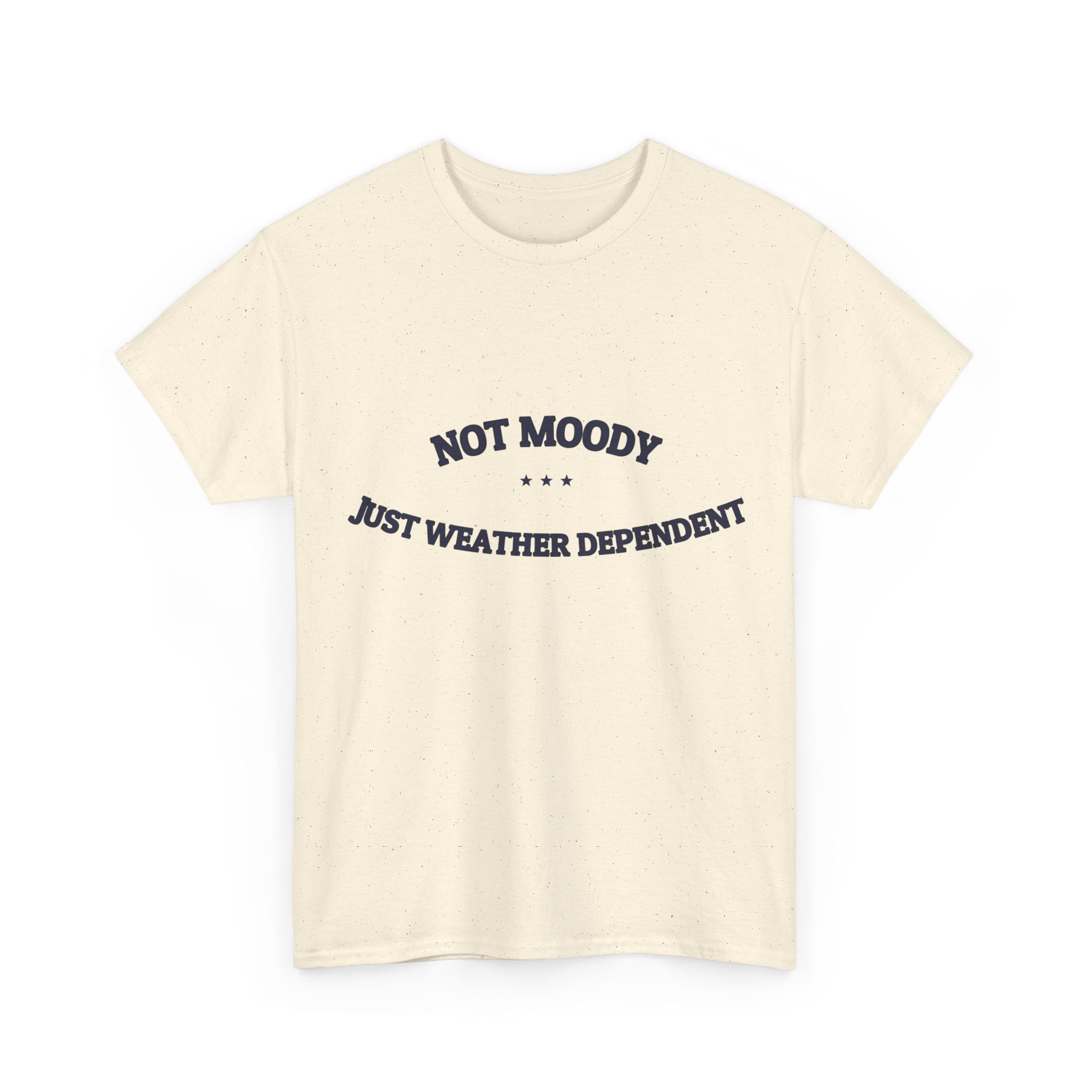 Not Moody. Just Weather Dependent. — Funny Tee | NullMade