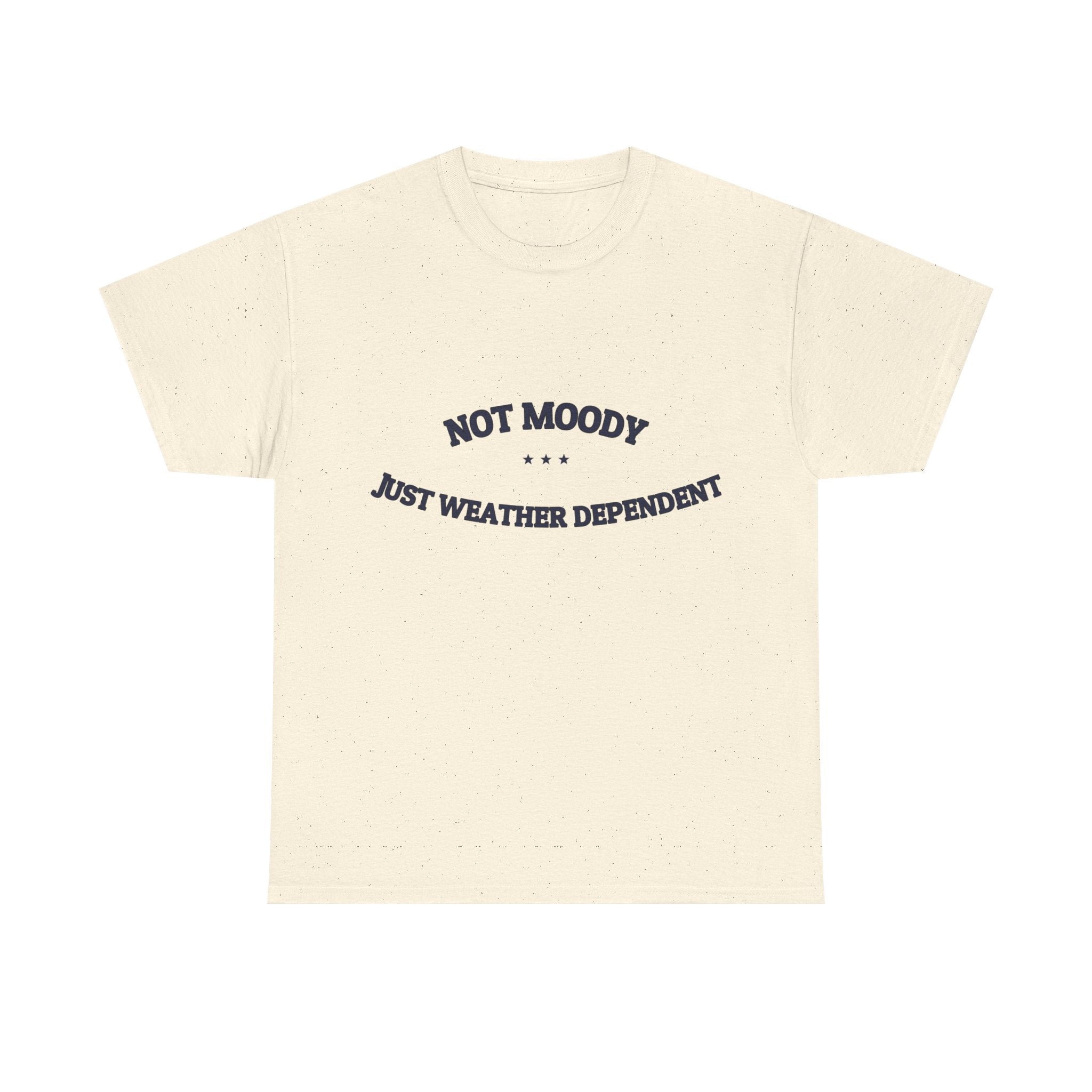 Not Moody. Just Weather Dependent. — Funny Tee | NullMade