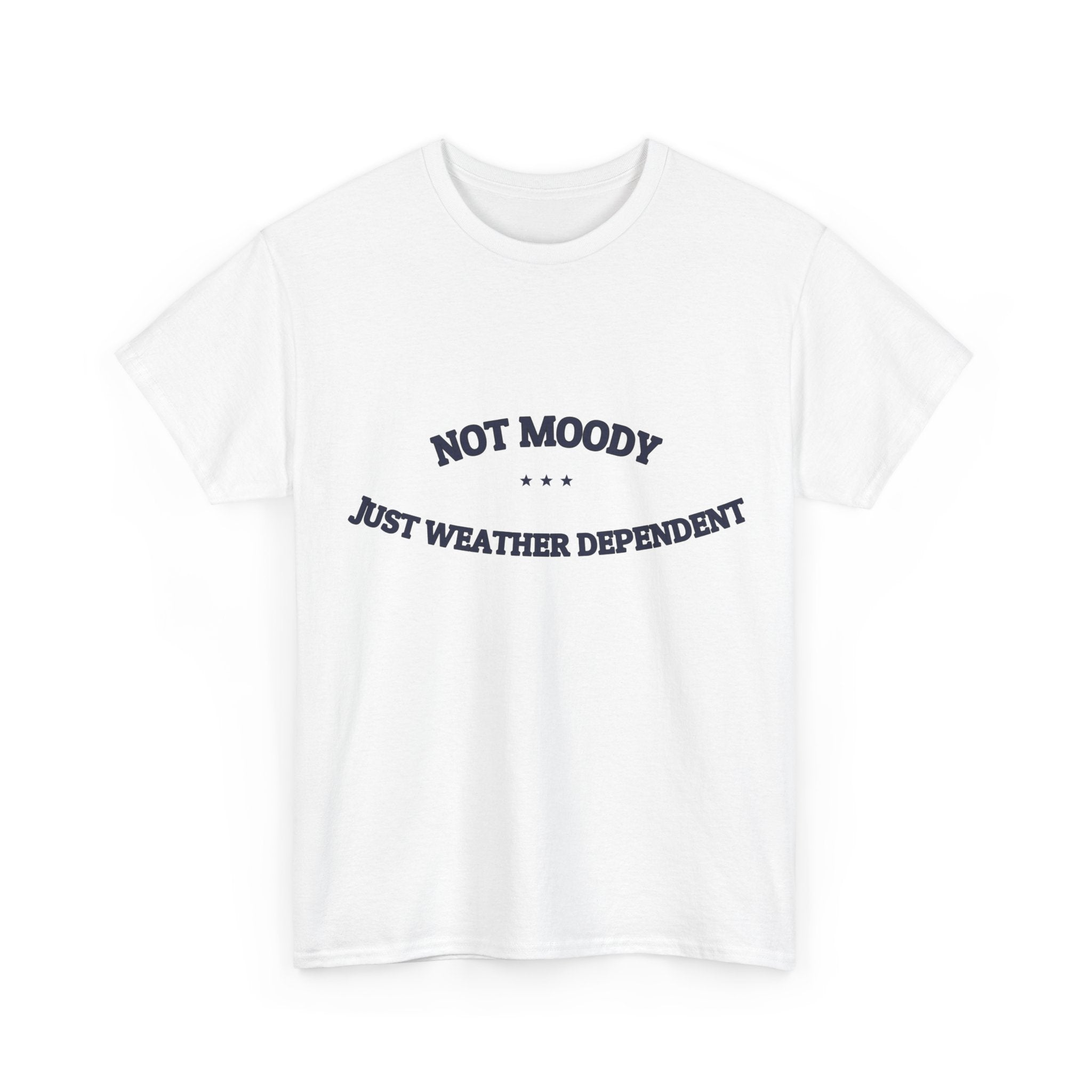Not Moody. Just Weather Dependent. — Funny Tee | NullMade