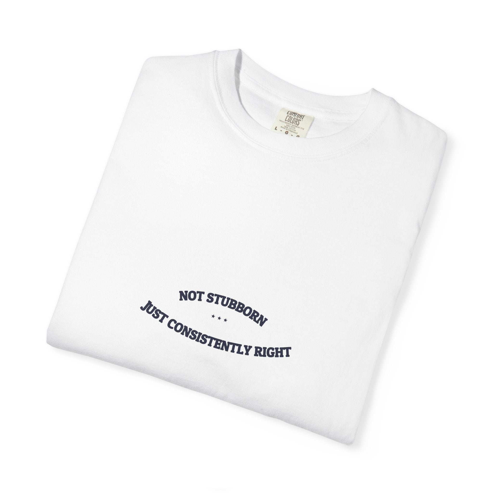 Not Stubborn. Just Consistently Right. — Funny Tee | NullMade