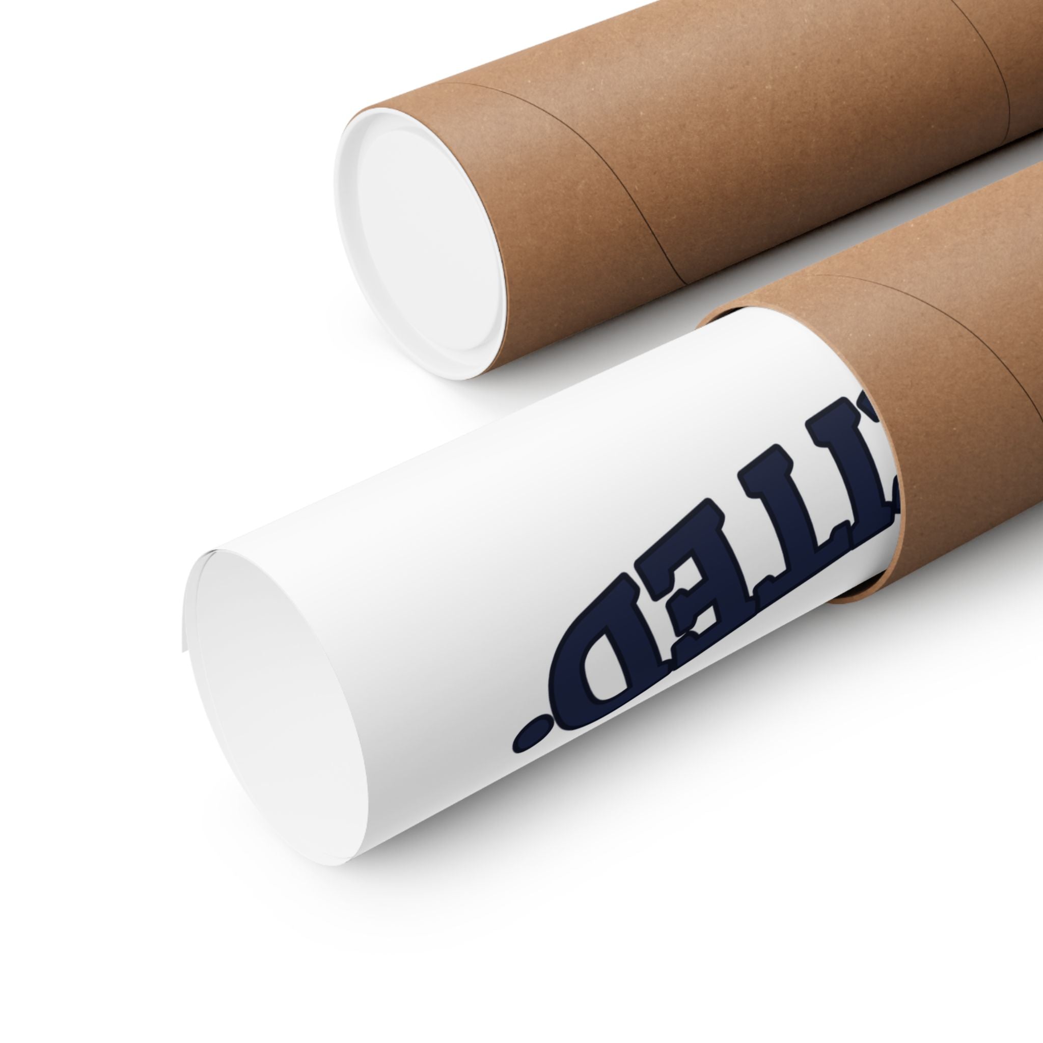 ENGINEER. OPINIONS. UNSOLICITED. — Matte Poster | Funny Engineer Gift | NullMade