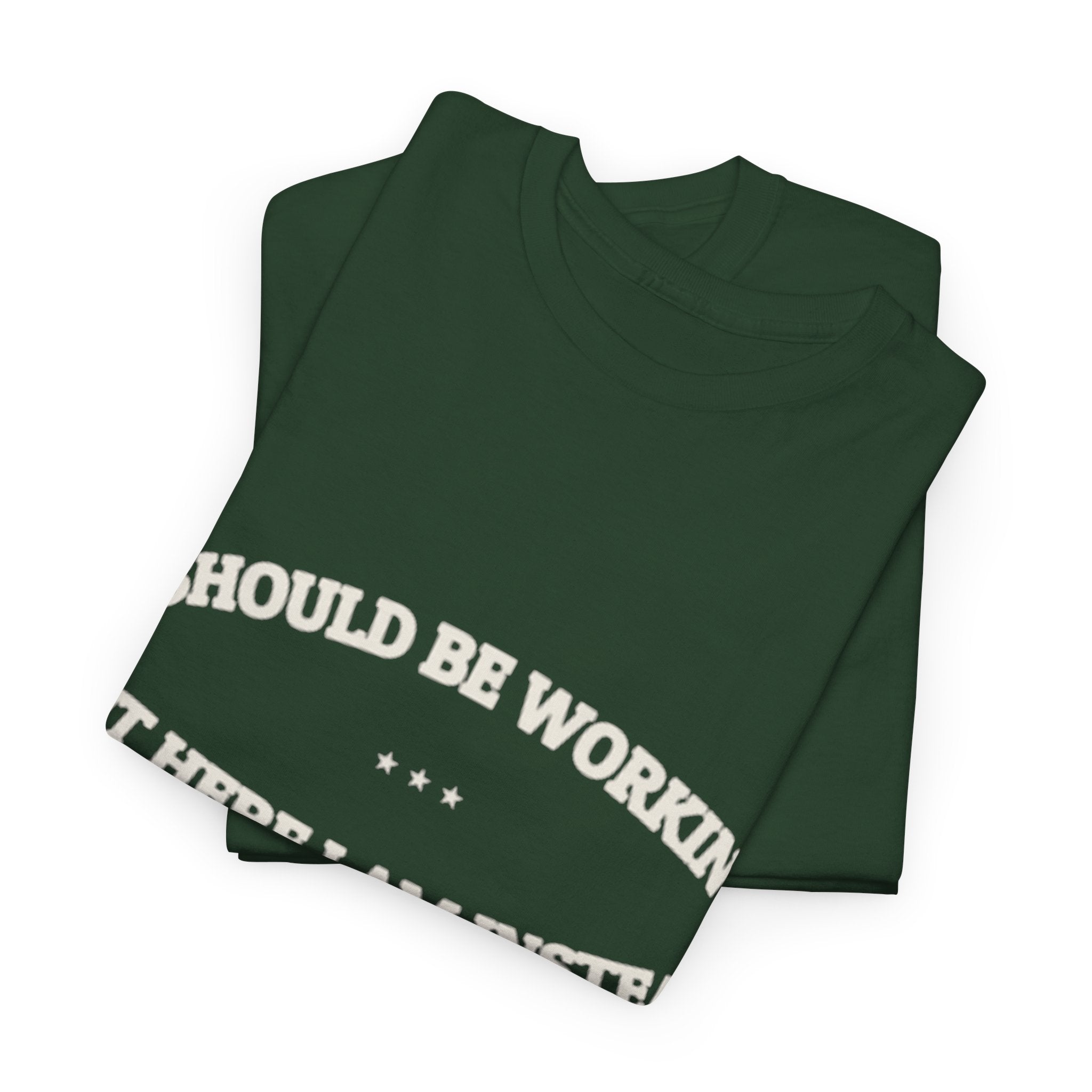I Should Be Working — Graphic Tee | Funny Office Humor | NullMade