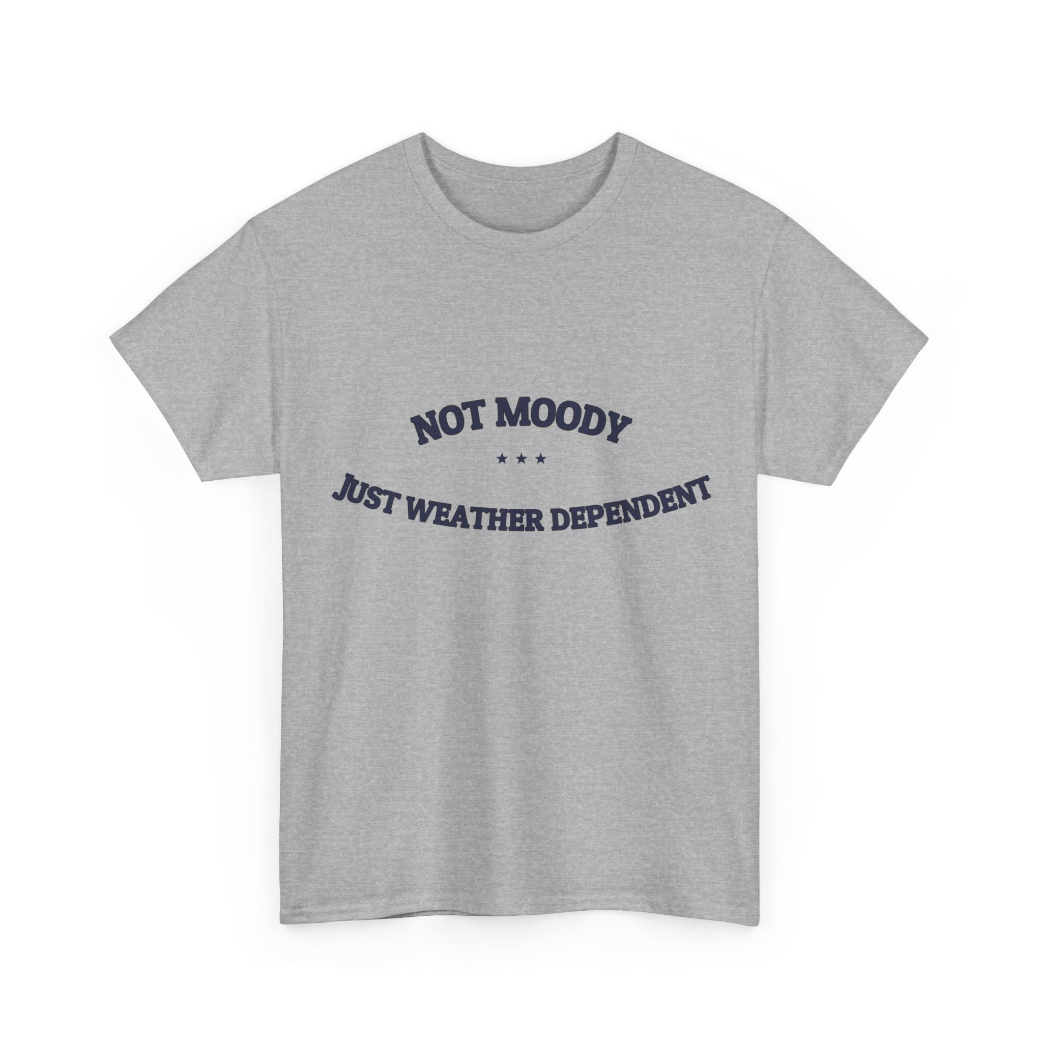 Not Moody. Just Weather Dependent. — Funny Tee | NullMade