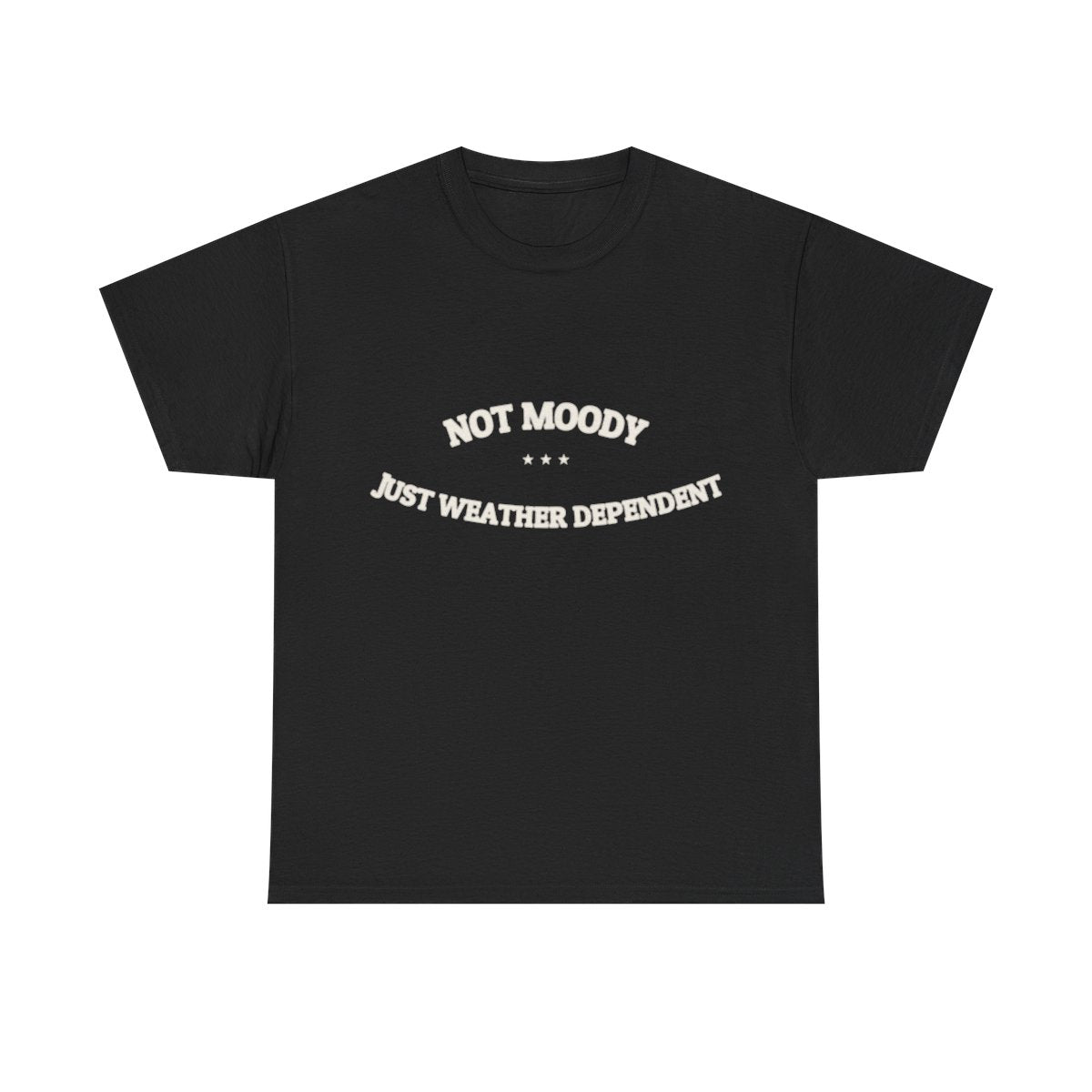 Not Moody. Just Weather Dependent. — Funny Tee | NullMade