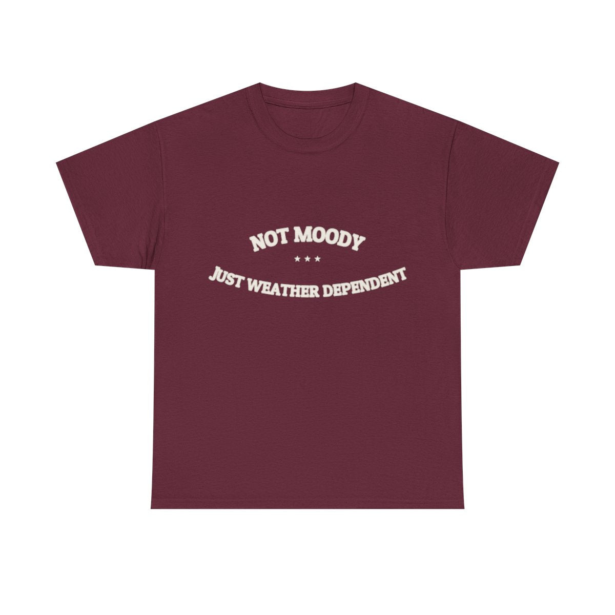 Not Moody. Just Weather Dependent. — Funny Tee | NullMade