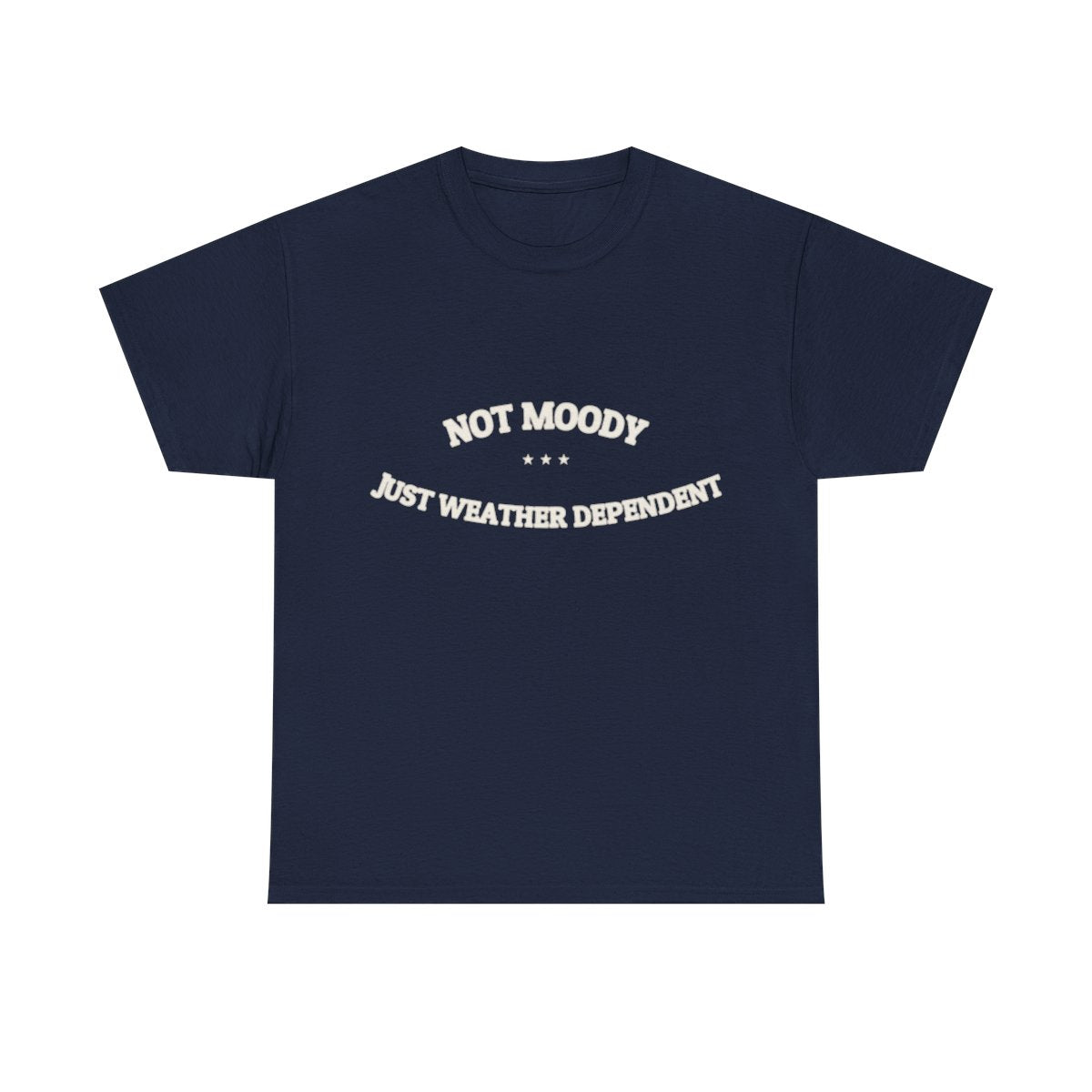 Not Moody. Just Weather Dependent. — Funny Tee | NullMade