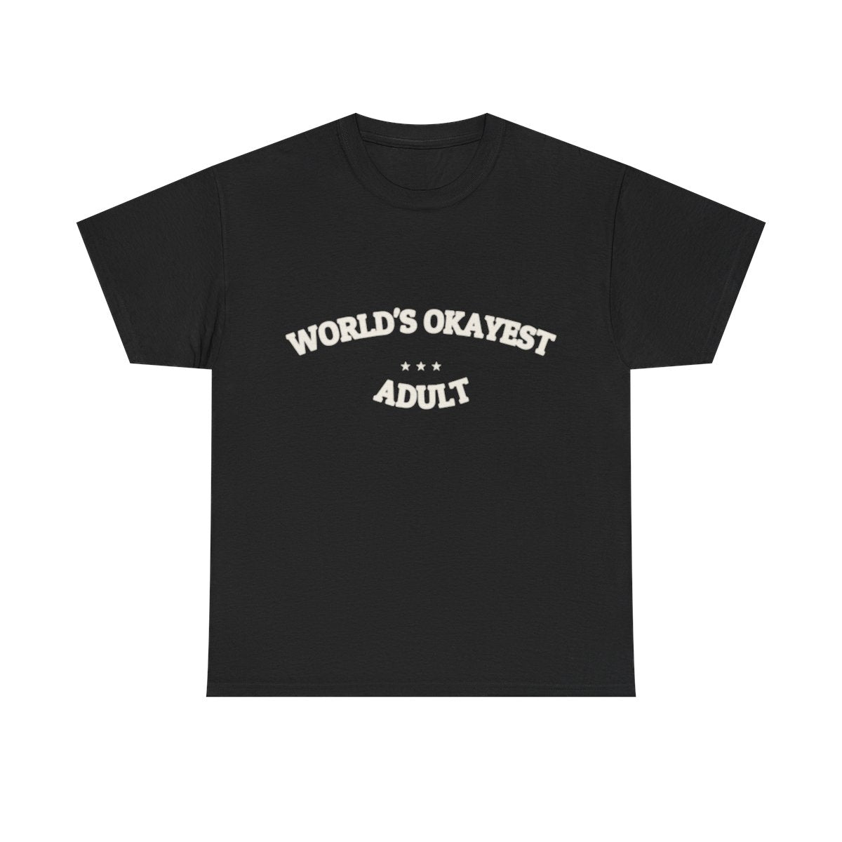 WORLD'S OKAYEST ADULT — T-Shirt | Funny Ironic Tee | NullMade