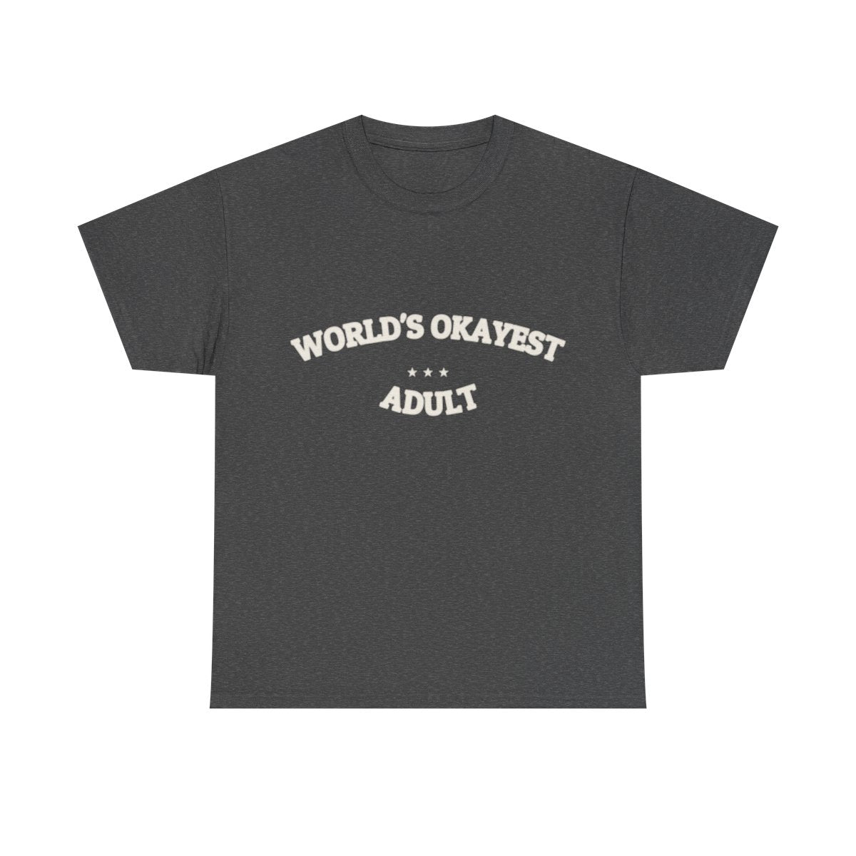 WORLD'S OKAYEST ADULT — T-Shirt | Funny Ironic Tee | NullMade