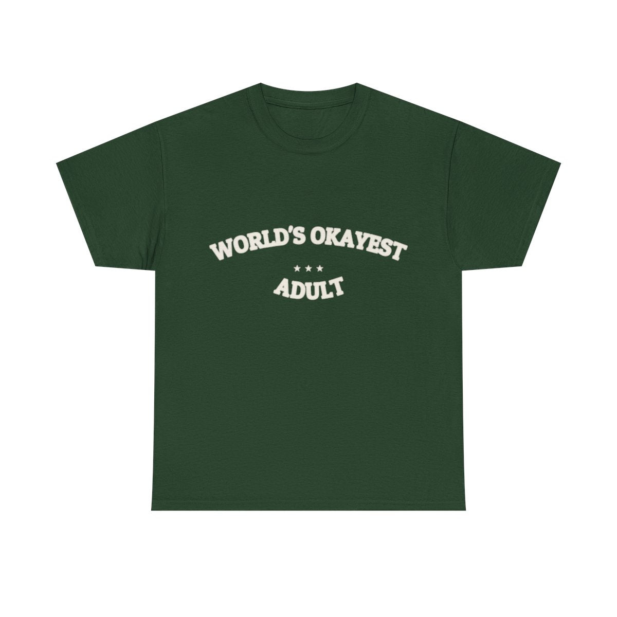 WORLD'S OKAYEST ADULT — T-Shirt | Funny Ironic Tee | NullMade